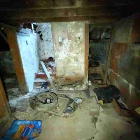 8031 conger (77)_edited.jpg